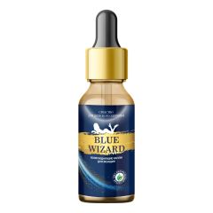 Фото:  Blue Wizard. Вид 3.