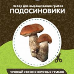 Фото:  Домашняя грибница. Вид 5.