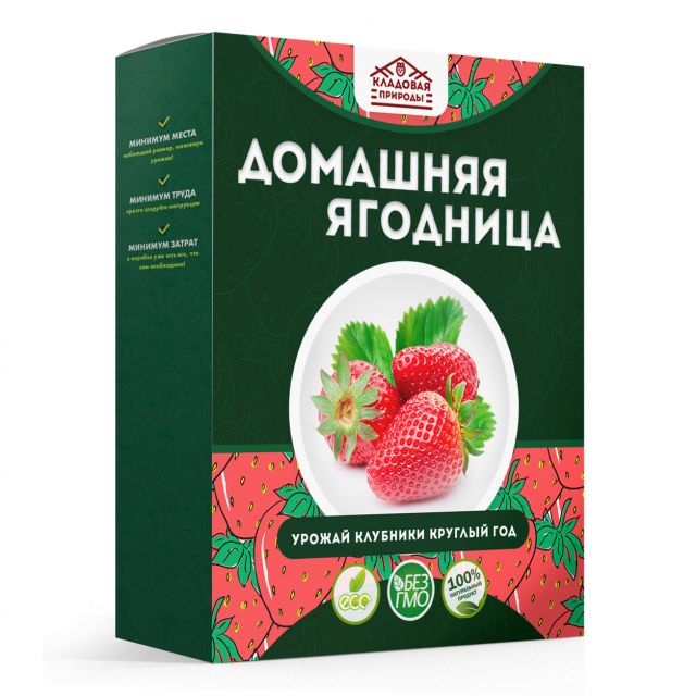 Фото:  Домашняя ягодница.