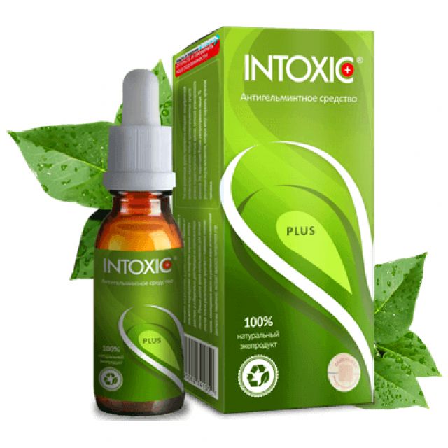 Фото:  Intoxic Plus.