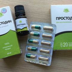 Фото:  Простодин. Вид 2.