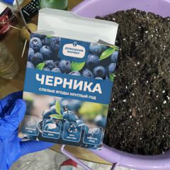 Фото:  Ягодница Домашний фермер. Вид 2.